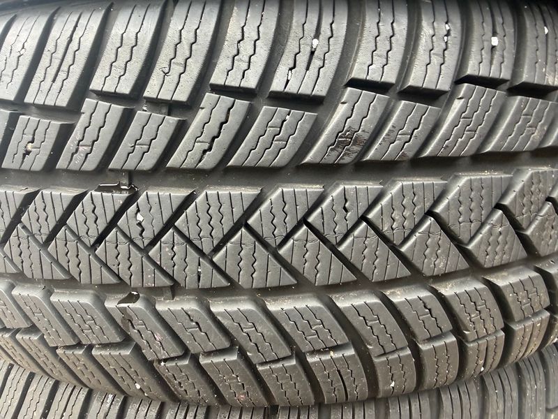 205/55 R17 Vredestein Wintrac Pro 04826 фото