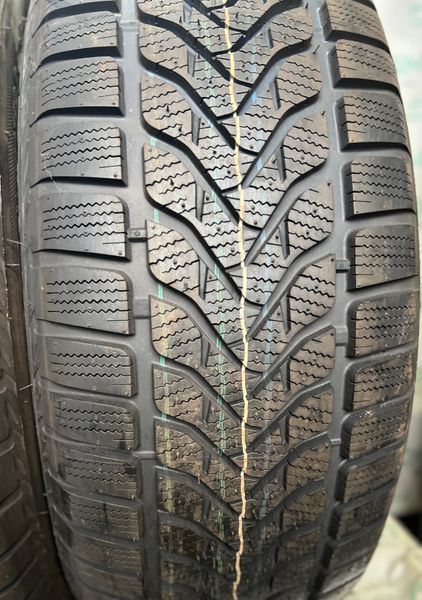 265/65 R17 Lassa Competus Winter 2 04684 фото