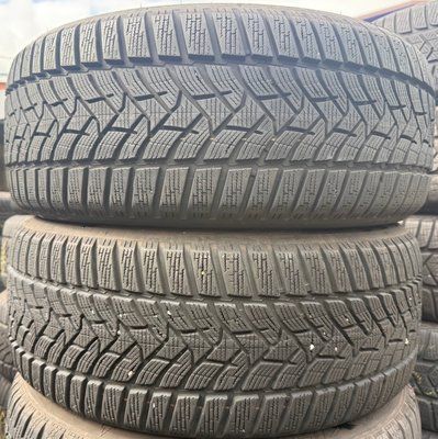 225/50 R17 Dunlop Winter Sport 5 04921 фото