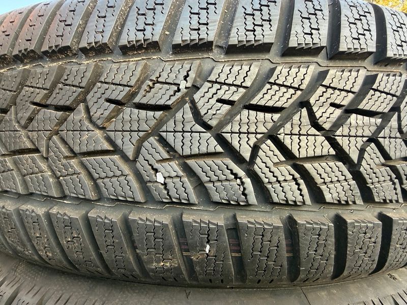 205/60 R16 Dunlop Winter Sport 5 02626 фото