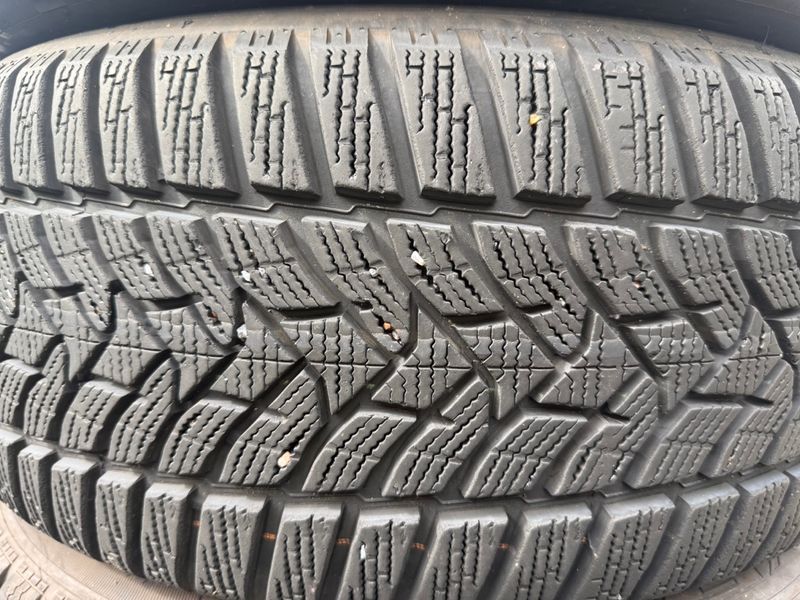 225/50 R17 Dunlop Winter Sport 5 04921 фото